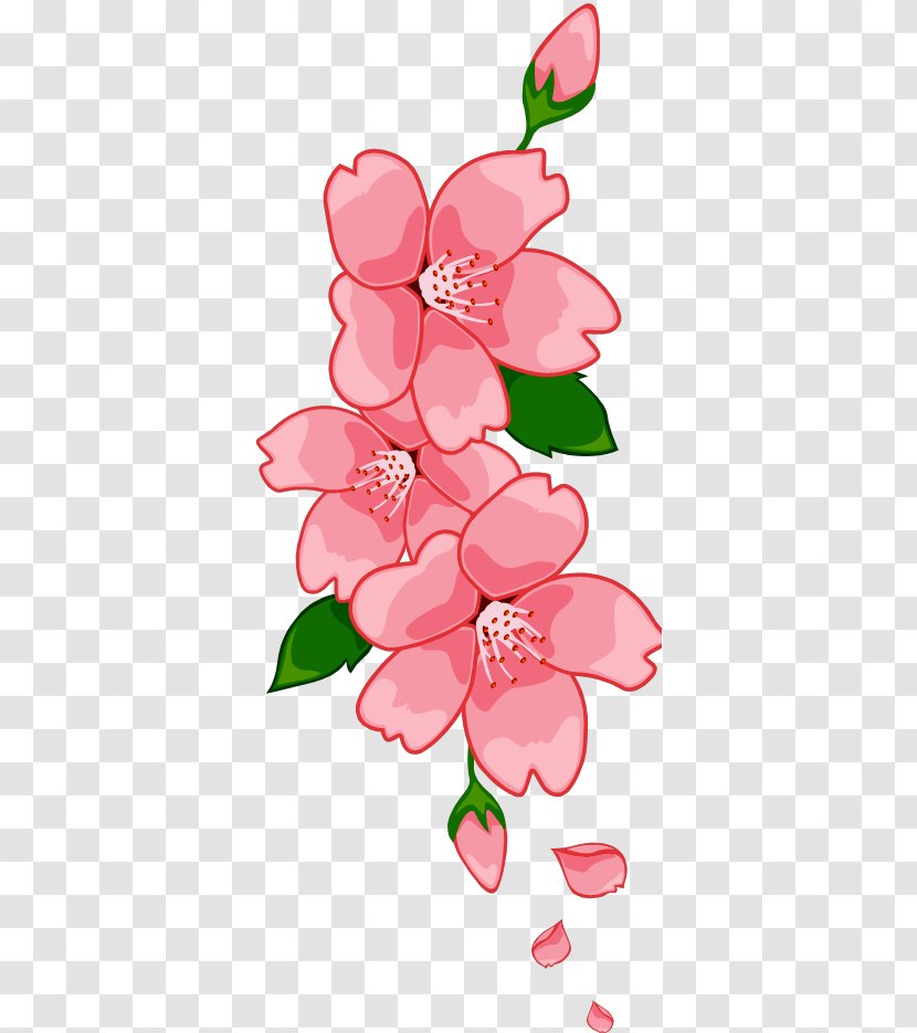 Floral Design Cherry Blossom Cut Flowers - Flower - Pink Blossoms Transparent PNG