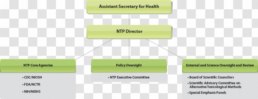Organizational Structure National Toxicology Program Food And Drug Administration - Science Transparent PNG