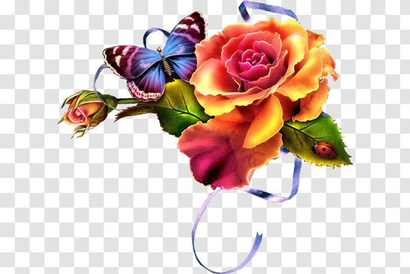 Rose Garden Flower Yellow Hue - Plant - Butterfly Flowers Transparent PNG