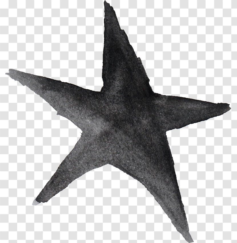 Barnstar Metal Color - Gold - Watercolor Star Transparent PNG