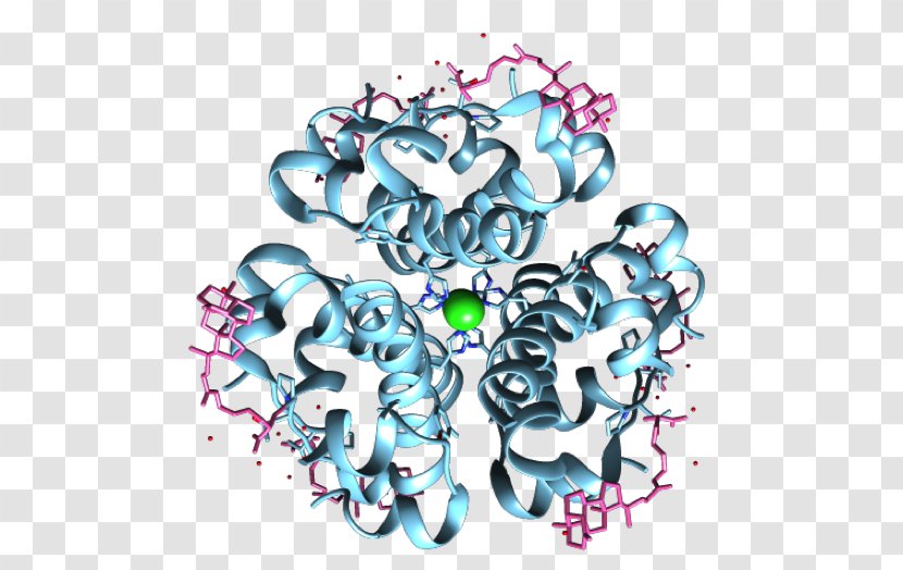 Angiotensin-converting Enzyme ACE Inhibitor - Cartoon - Flower Transparent PNG