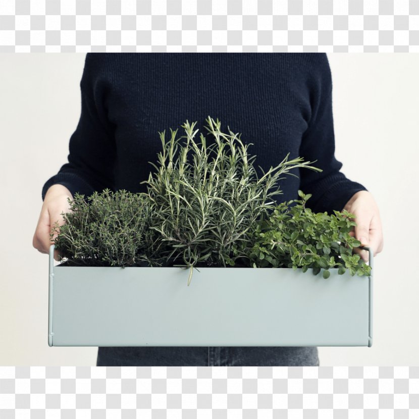 Flower Box Plant Window Flowerpot Transparent PNG