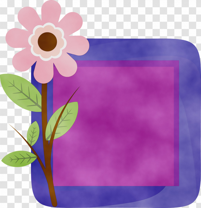 Picture Frame Transparent PNG