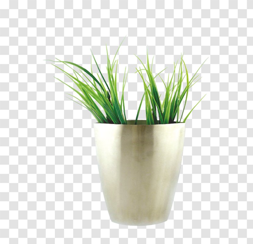 Vase Flowerpot Interior Design Services - Plants - Floral Arrangement Transparent PNG