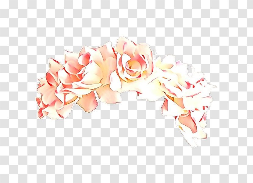 Orange - White - Plant Rose Transparent PNG