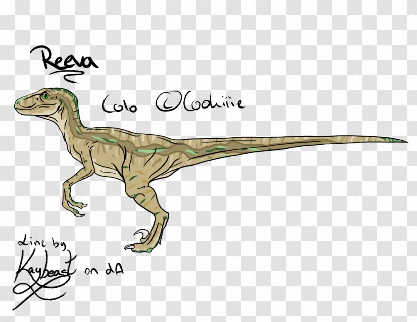 Velociraptor Tyrannosaurus Terrestrial Animal - Extinction Transparent PNG