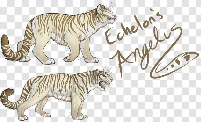 Whiskers Lion Tiger Wildcat - Line Art Transparent PNG