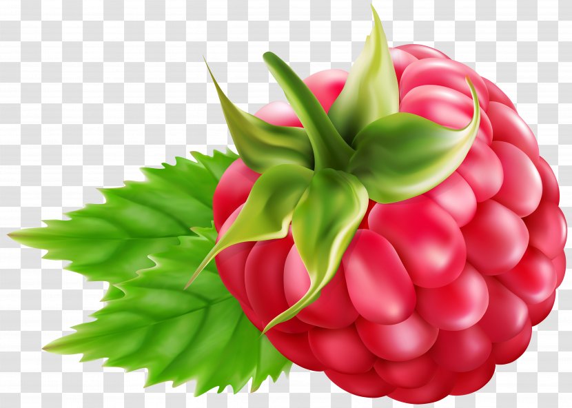 Raspberry Blackberry Clip Art - Food - Transparent Transparent PNG