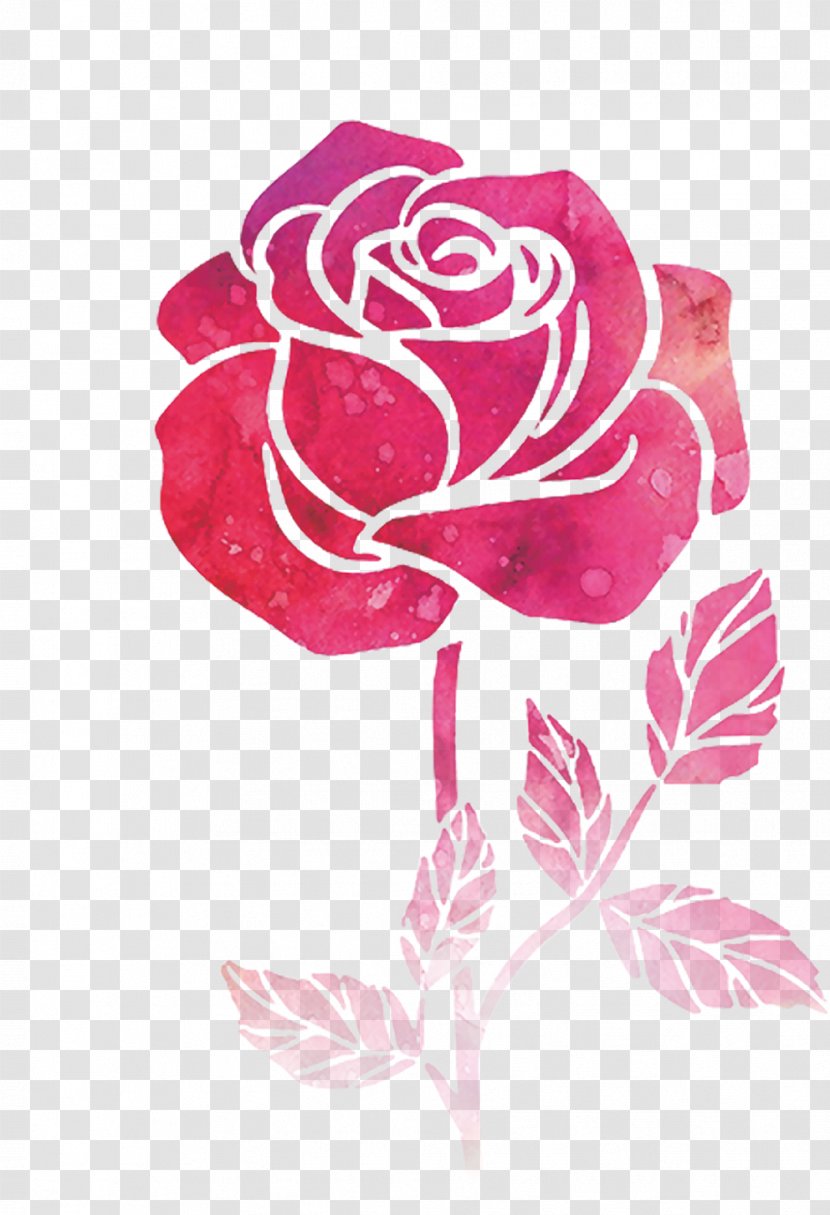 Flower - Plant - Rose Transparent PNG