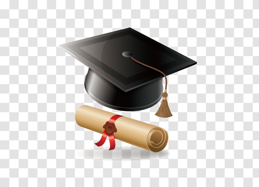 Graduate Diploma Graduation Ceremony Bachelors Degree - Education - Bachelor Of Cap Transparent PNG