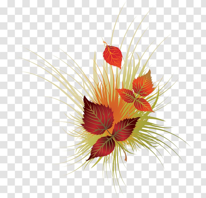 Vector Graphics Clip Art Image - Flower - Autumn Transparent PNG