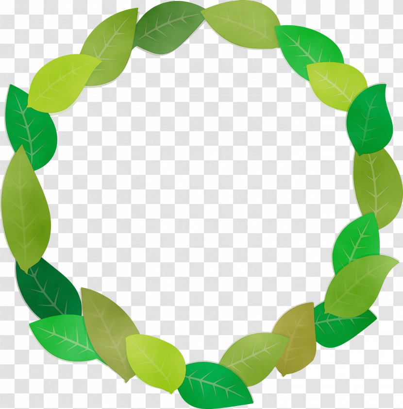 Leaf Green Jewellery Science Biology Transparent PNG