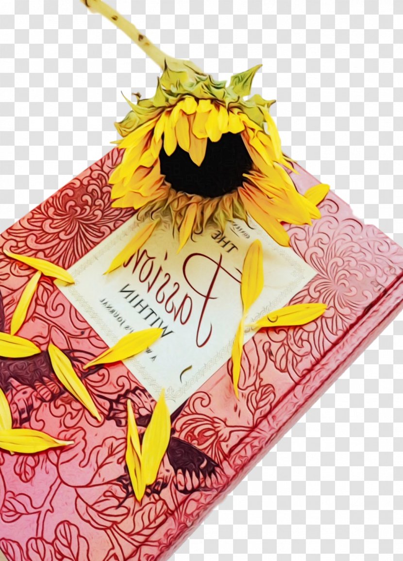 Books Cartoon - Feather - Sunflower Plant Transparent PNG