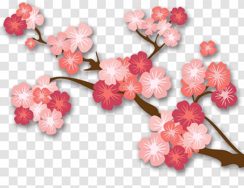 Japan Cherry Blossom Vector Graphics Image - Flowering Plant - Star Flower Transparent PNG