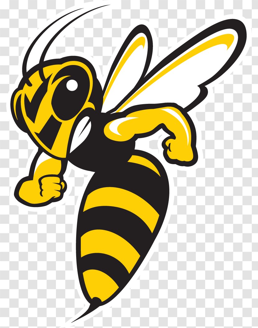 Baldwin Wallace University Yellow Jackets Men's Basketball Football John Carroll Ohio Athletic Conference - College - Creative Youth Transparent PNG