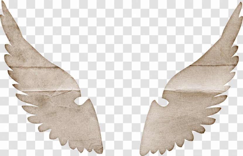 Download - Cartoon - A Pair Of Wings Transparent PNG