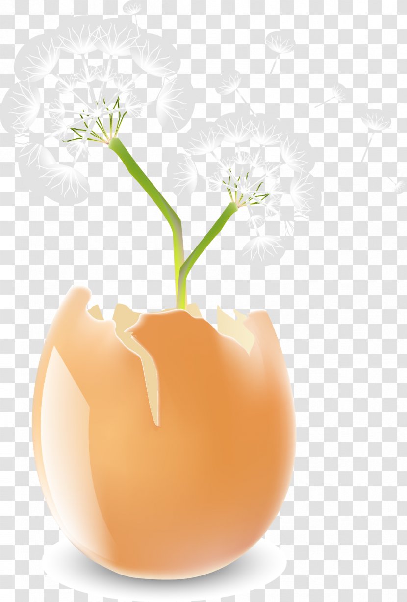 Euclidean Vector Dandelion - Orange Transparent PNG