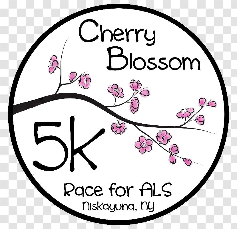 Flower Line Clip Art - Purple - Cherry Blossom Logo Transparent PNG