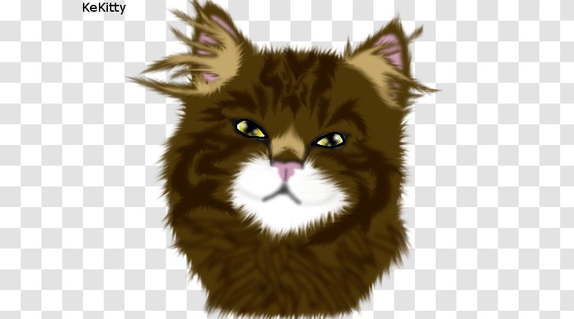 Whiskers Maine Coon Norwegian Forest Cat Wildcat Fur - Carnivoran - Realistic Drawings Transparent PNG