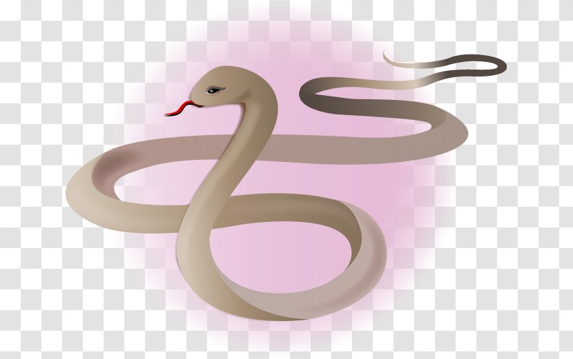 Cygnini Goose Duck Anatidae - Water Bird Transparent PNG