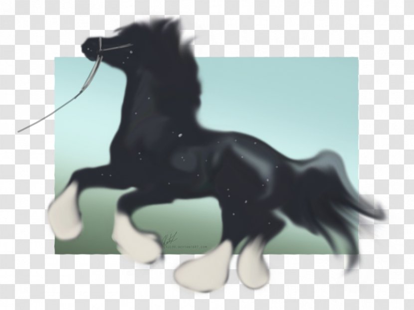 Stallion Mustang Pony Mane Pack Animal - Conformation Show Transparent PNG
