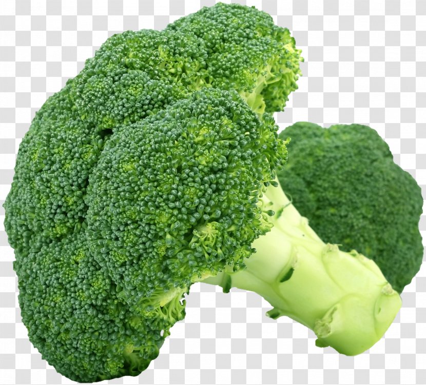 Vegetable Broccoli Food Cabbage Cauliflower - Vegetables Transparent PNG