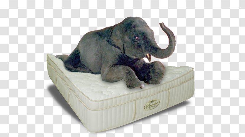 Mattress Bedroom Furniture Sets Indian Elephant Headboard - Tusk Transparent PNG