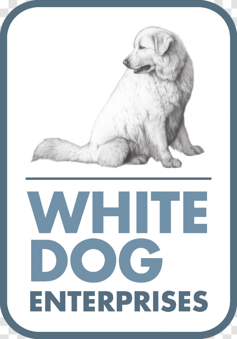 Dog Breed Notes From The Grooming Table Puppy Hotel Capo Dei Greci - Pet Transparent PNG