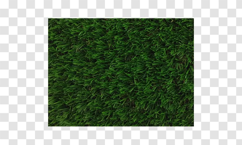 Artificial Turf Lawn Garden Carpet Patio Transparent PNG