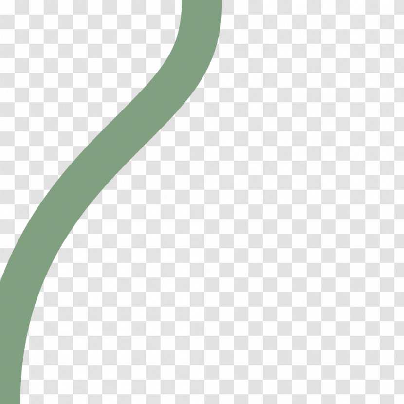 Logo Circle Brand - Green - 22 Transparent PNG