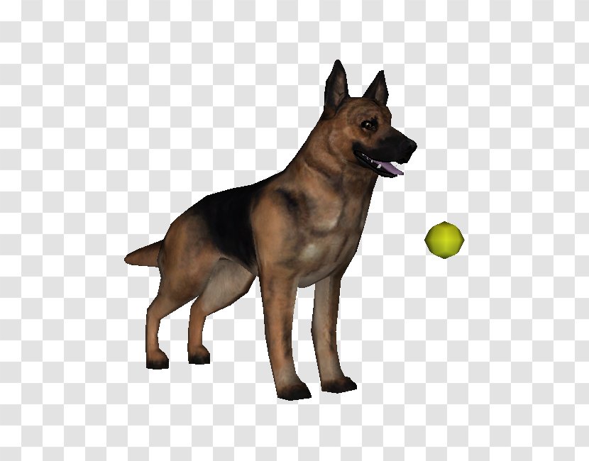 German Shepherd Kunming Wolfdog Tervuren King Puppy - Snout Transparent PNG