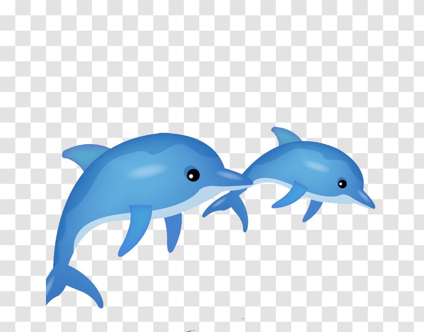 Vector Graphics Dolphin Image Clip Art Stock.xchng - Organism - Delfin Transparent PNG