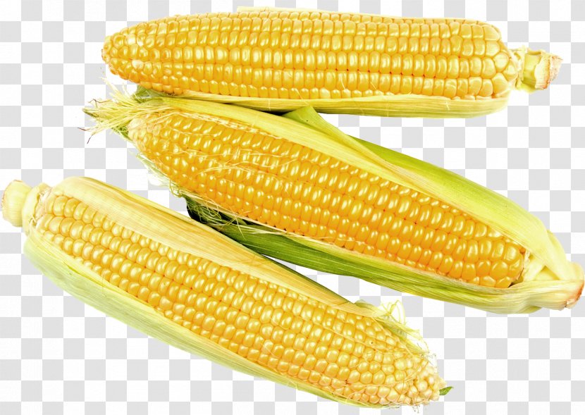 Corn On The Cob Maize Sweet Kernel - Commodity Transparent PNG