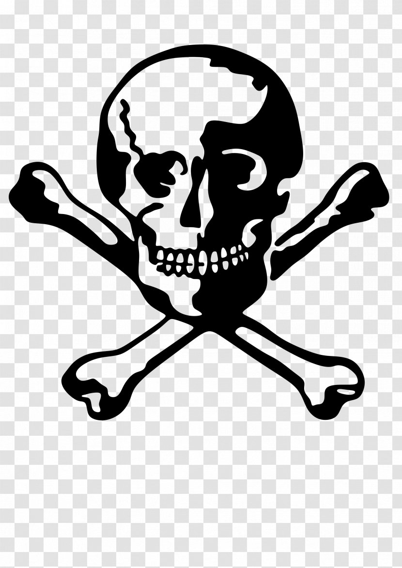Human Skull Symbolism Bone Skeleton - Logo Transparent PNG