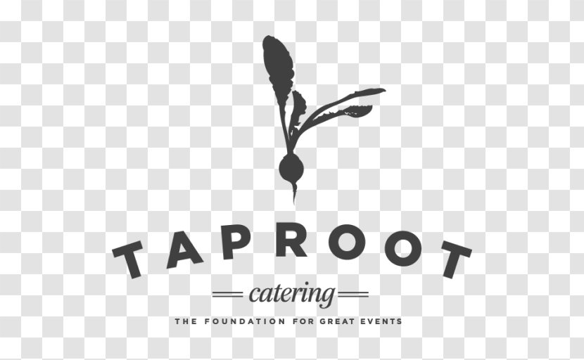 Logo Main Street Kent Taproot Catering Design Brand Transparent PNG
