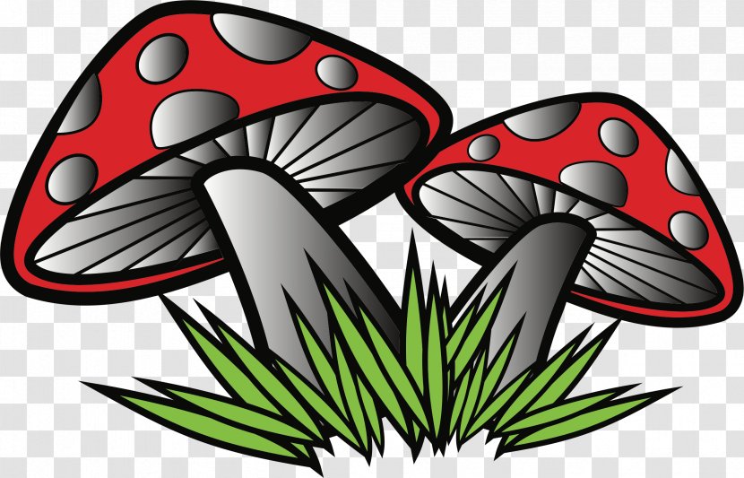 Mushroom Fungus Russula Emetica Clip Art - Poison - Poisonous Mushrooms Transparent PNG