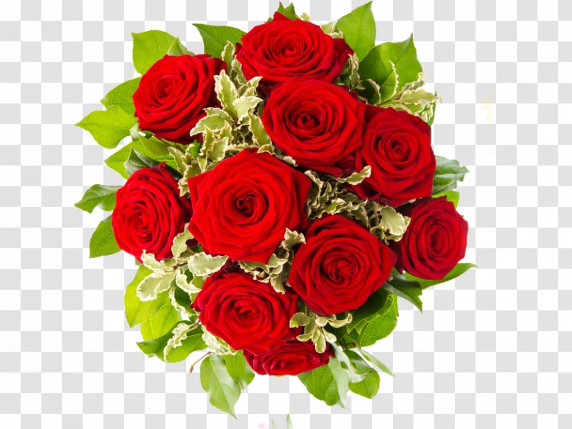 Garden Roses Flower Bouquet Cut Flowers - Rose Transparent PNG