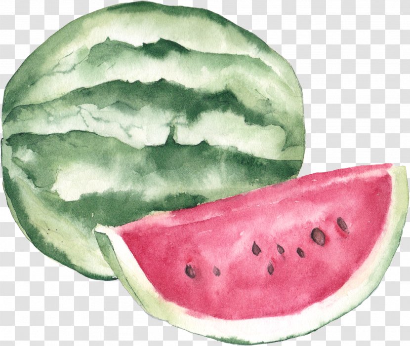 Watercolor Painting Lychee Illustration - Diet Food - Watermelon Transparent PNG