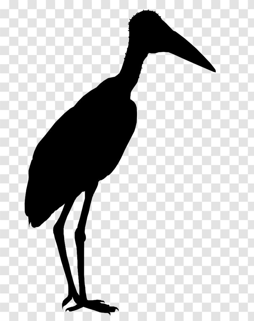 Marabou Stork Liang Bua Flores Greater Adjutant Bird - Species - Graphics Transparent PNG