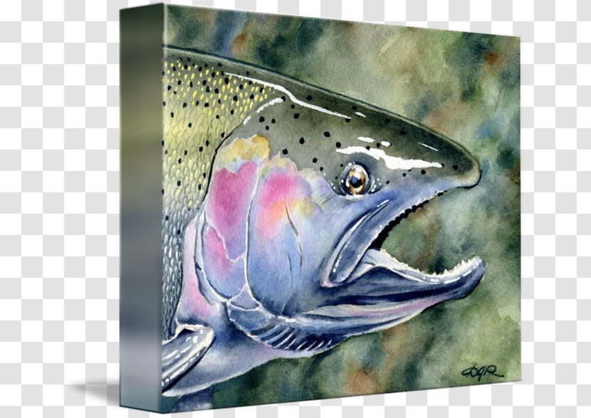 Coho Salmon 09777 Trout Painting - Marine Biology Transparent PNG