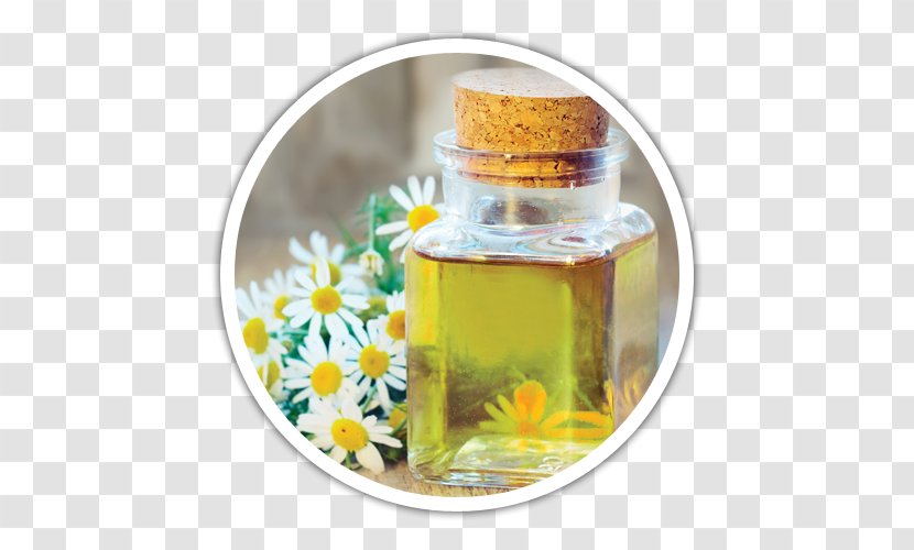 Tea Roman Chamomile Essential Oil - Natural Ingredients Transparent PNG