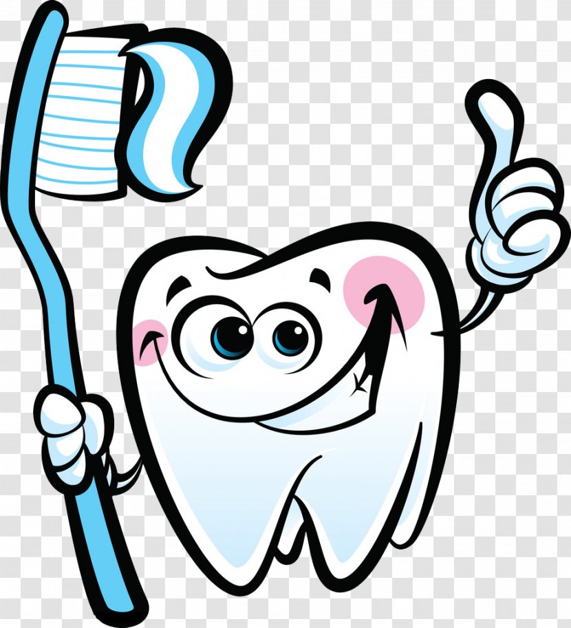 Cartoon Dentistry Molar Photography - Tooth Map Transparent PNG
