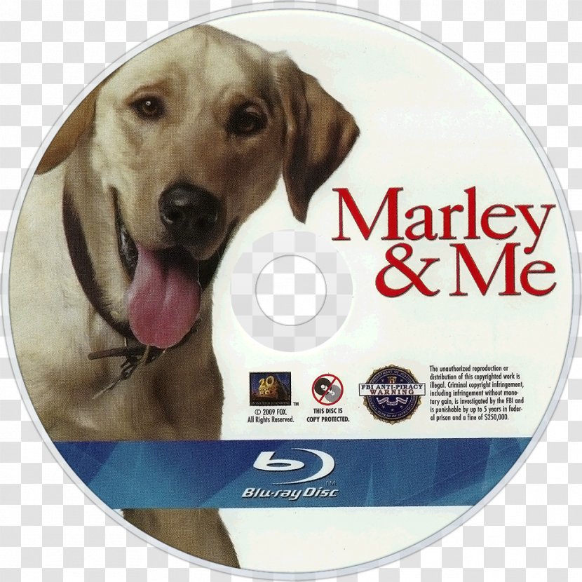 Labrador Retriever Marley & Me: Life And Love With The World's Worst Dog Film - Puppy Transparent PNG