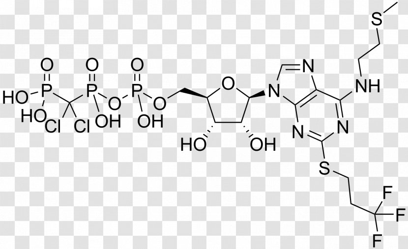 CGS-21680 Chemical Compound Flavin Adenine Dinucleotide Coenzyme Cyclic Adenosine Monophosphate - Agonist Transparent PNG