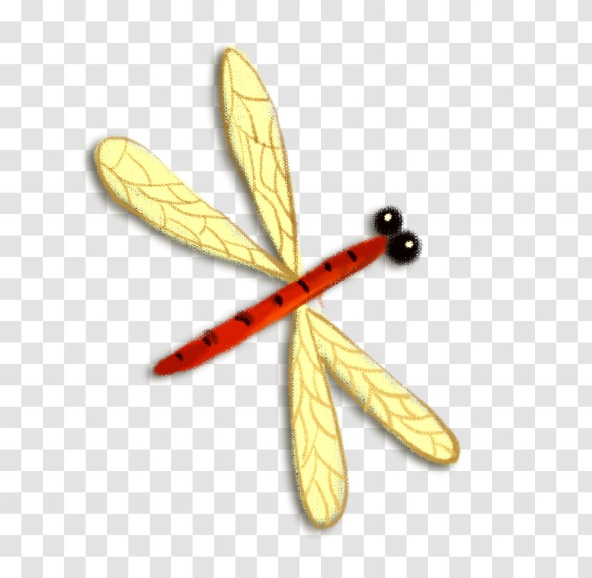 Insect Dragonfly - Pollinator Transparent PNG