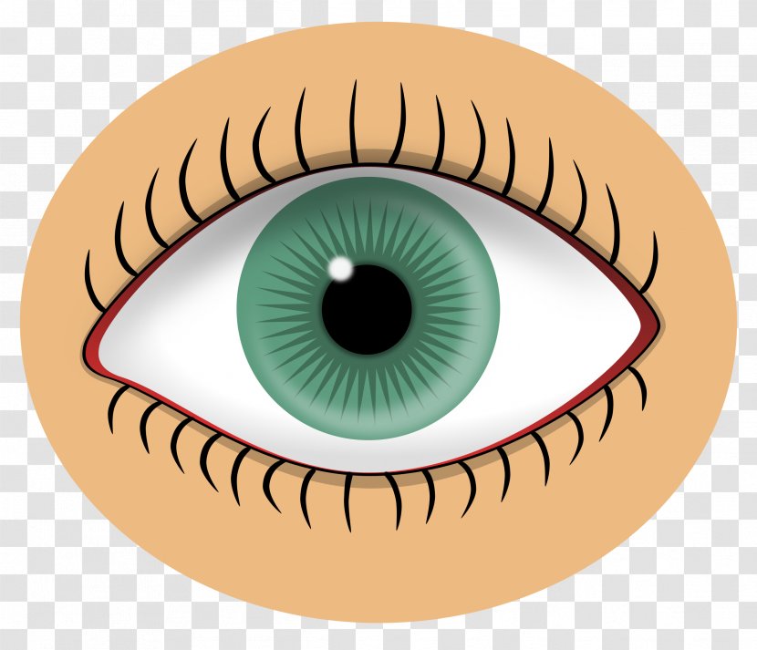 Eye Color Iris Clip Art - Heart - Eyes Transparent PNG