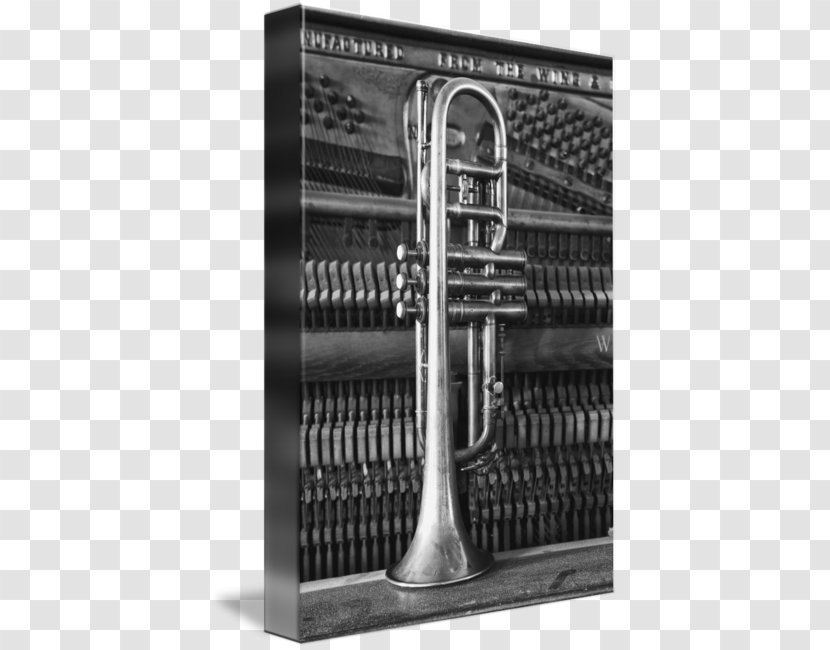 Mellophone White - Wind Instrument - Old Piano Transparent PNG
