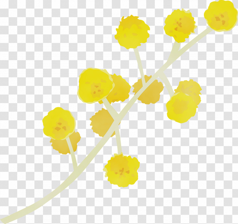 Yellow Flower Plant Plant Stem Cut Flowers Transparent PNG
