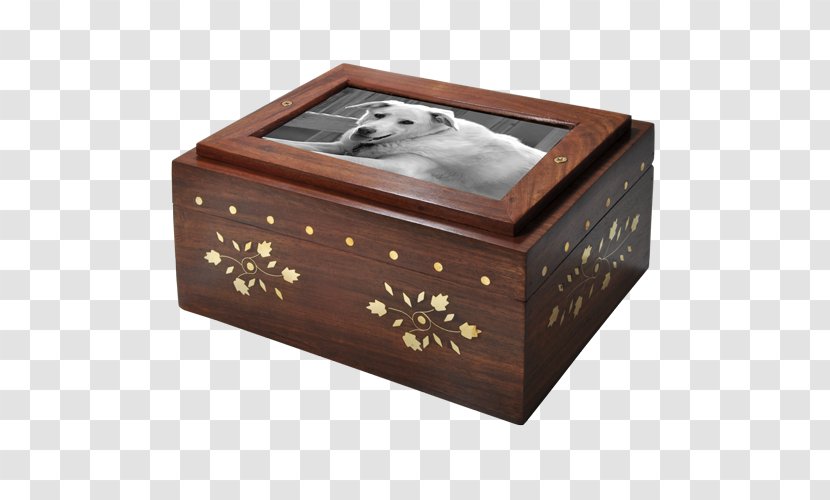 Bestattungsurne Cremation Box Wood - Cartoon - Trunk Transparent PNG