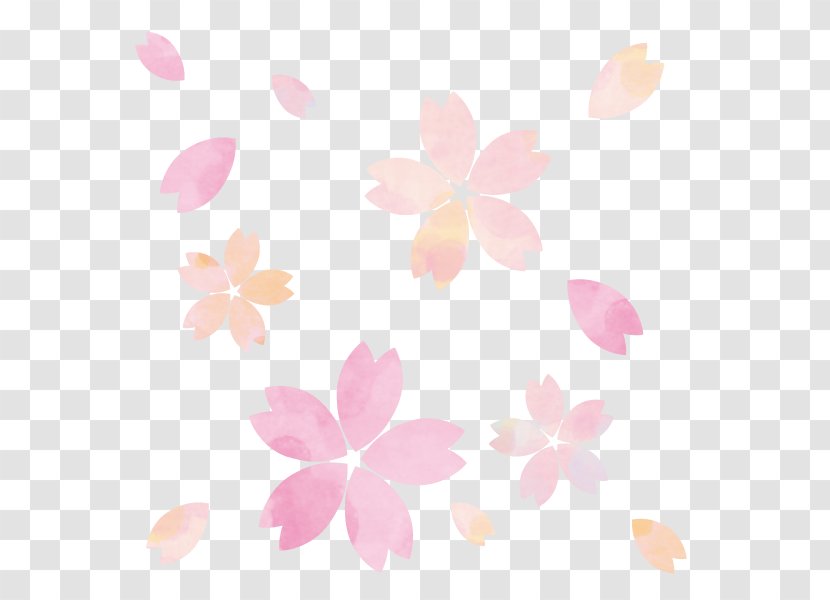 Watercolor Sakura Flower Illustration. - Frog Transparent PNG